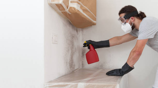 Professional Bathroom Mold Removal technician working in Plainview, MN