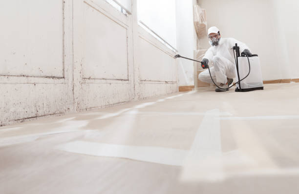 24/7 Emergency Bathroom Mold Removal experts in Plainview, MN